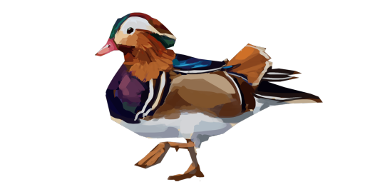 Male Wood Duck Low Poly Male Wood Duck